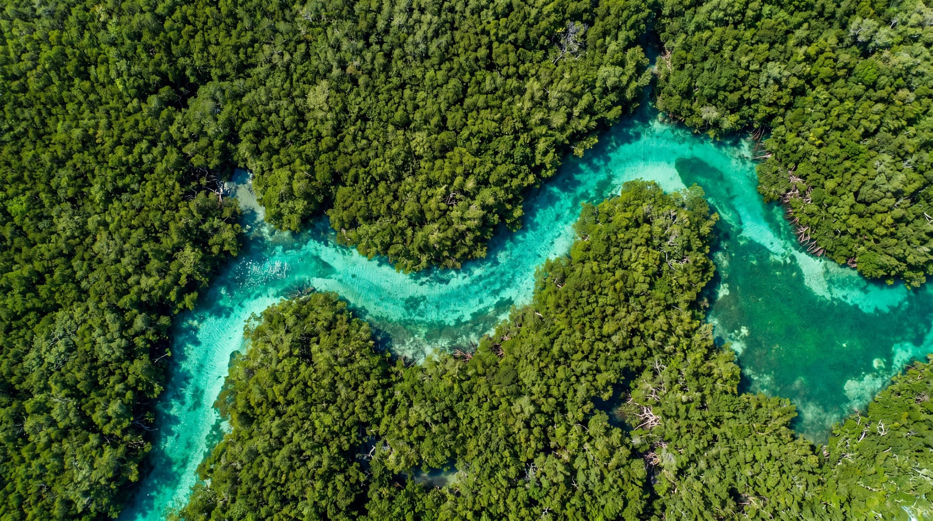Vista aérea del manglar de la Laguna Nichupté con agua turquesa serpenteando entre la vegetación